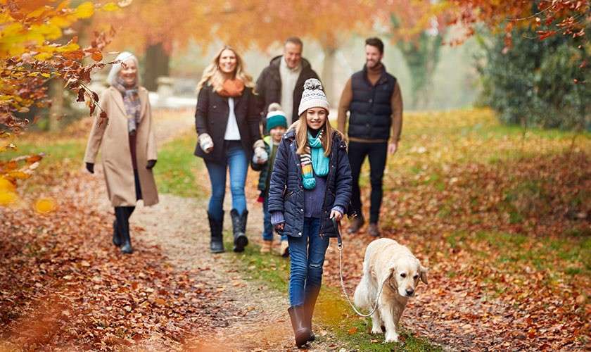 Girl walks a golden retriever, leading a bundled-up multi-generational family strolling behind her along a leaf-strewn path in a park, surrounded by orange autumn trees and soft light.