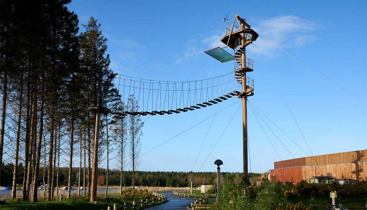 Aerial Adventure