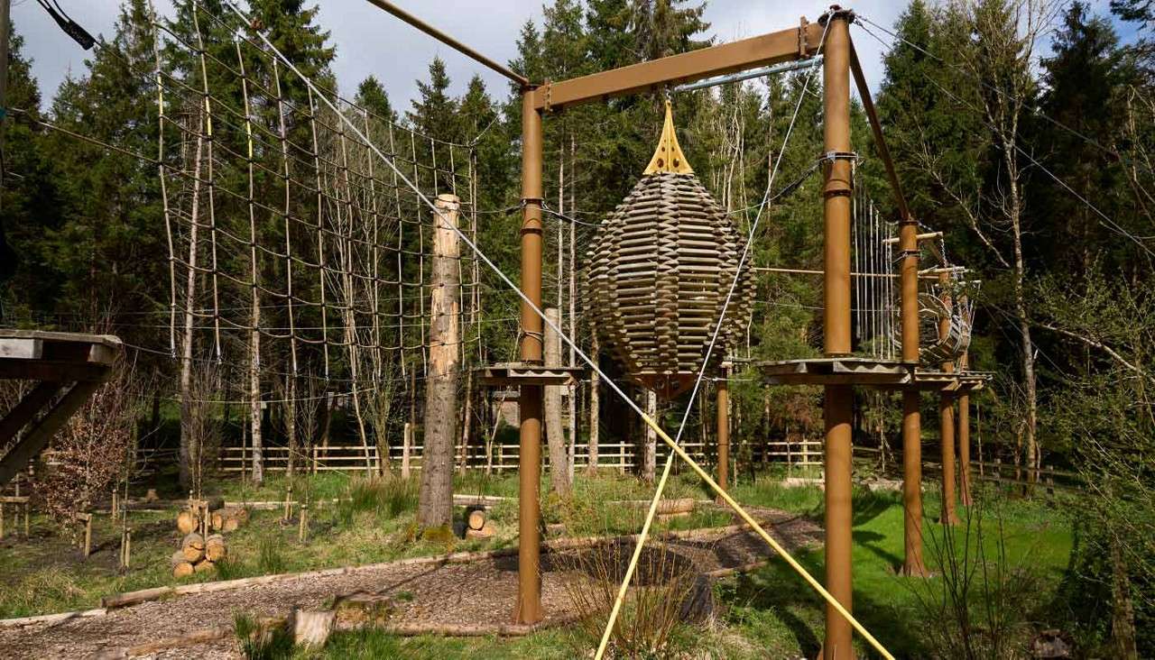Aerial Adventure course