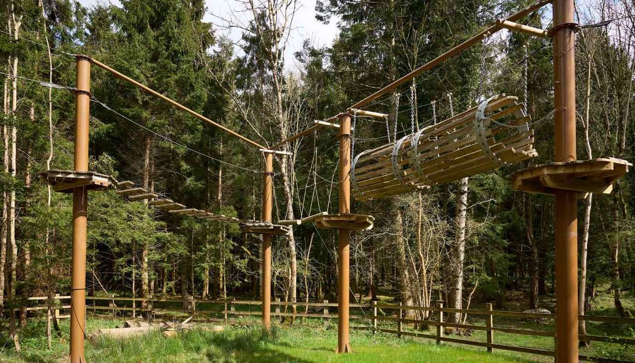 Aerial Adventure course