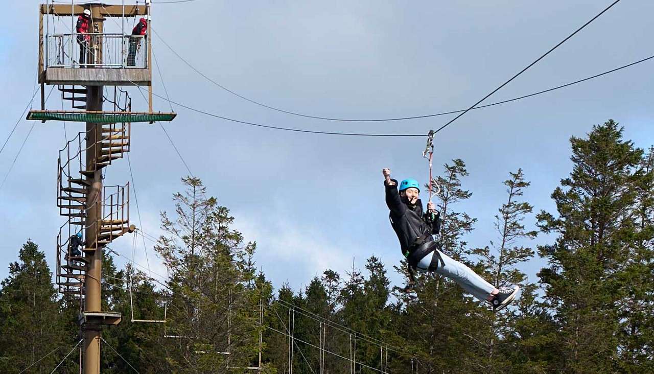 Zip wire view from floor