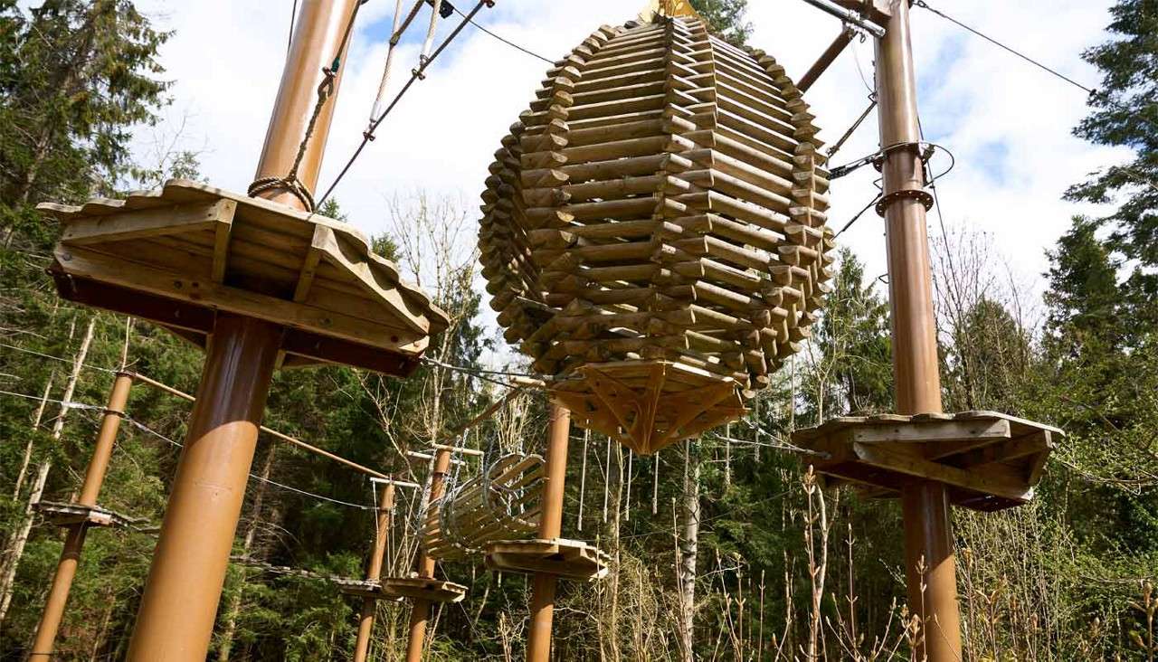 Aerial Adventure course