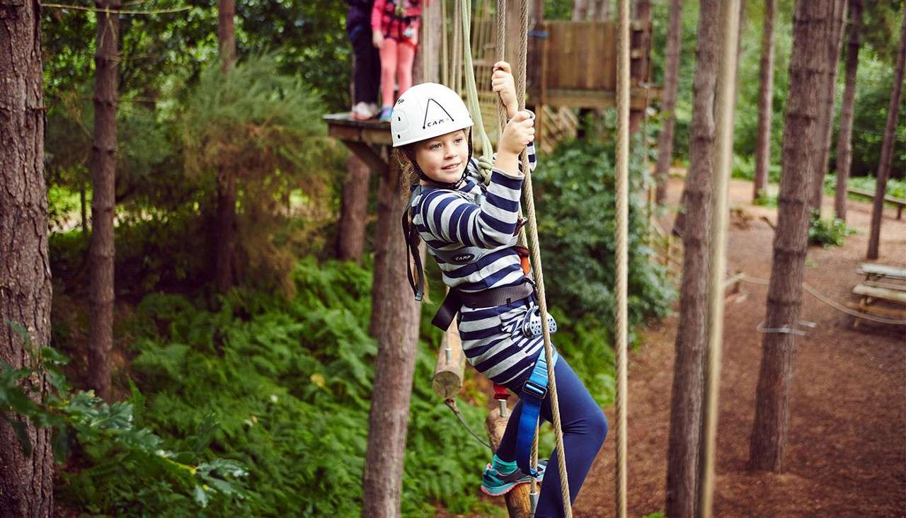 Boy on tree crossing