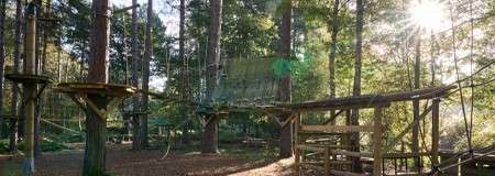 Rope-course platforms connect by hanging bridges and nets, spanning between tall trees; no people visible. Sunlight filters through forest, with wooden railings and leaf-covered ground below.