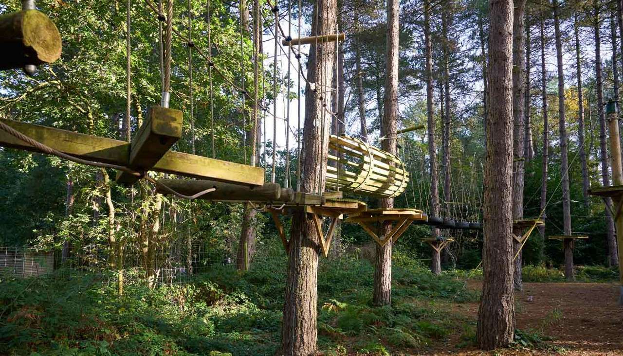 Wooden treetop course with suspended paths and obstacles.