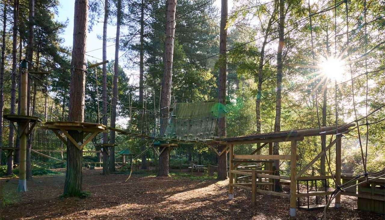 Wooden treetop course with suspended paths and obstacles.