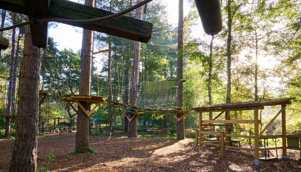 Wooden treetop course with suspended paths and obstacles.