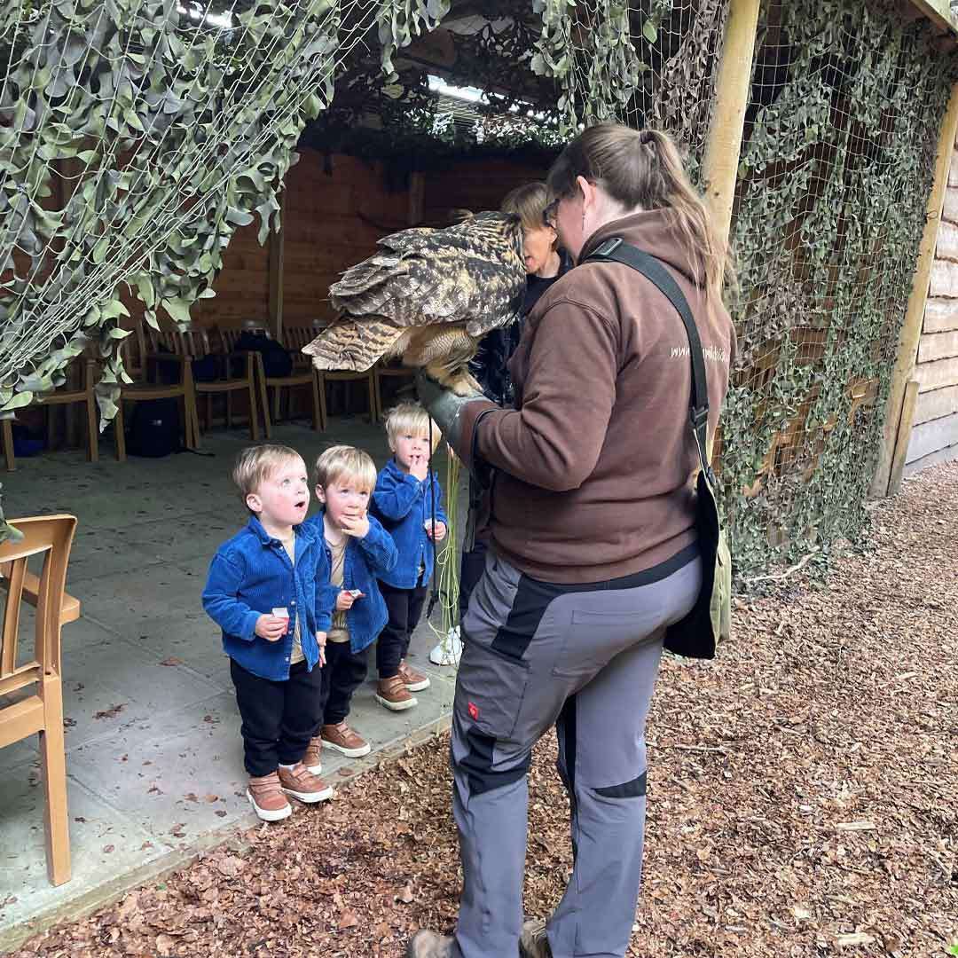 Three young boys standing watching a woman holding an owl