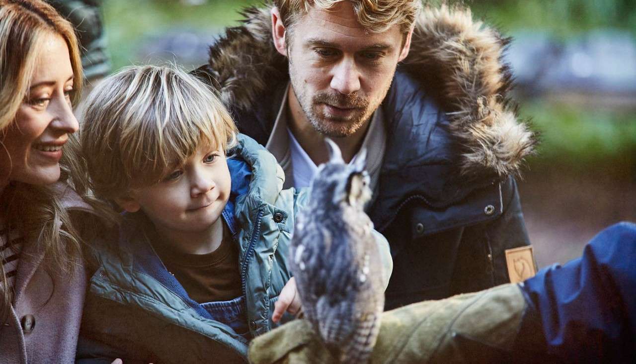 Small owl perches on a gloved hand; a child and two adults watch closely, the child reaching toward it. Outdoor setting with soft light and jackets suggesting cool weather.