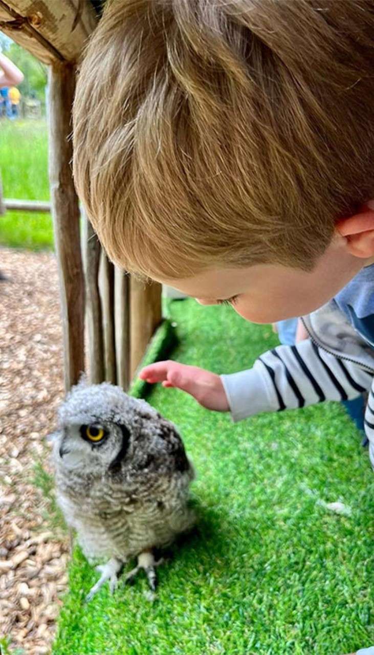 Boy holding a baby owl