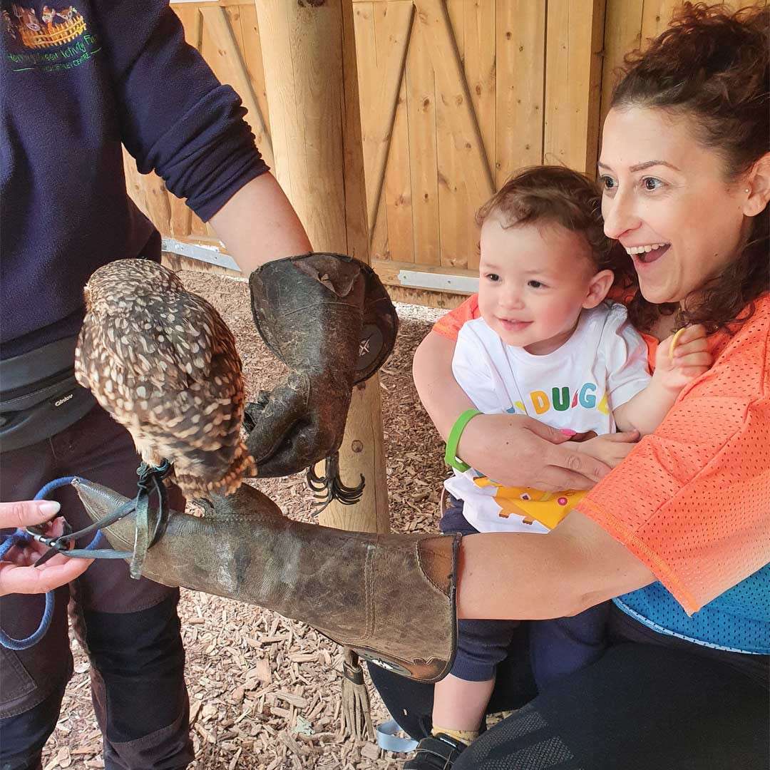 Owl perches on a handler’s gloved hand, being shown to a smiling child held by an excited adult, inside a wooden enclosure with wood-chip floor. Text on child’s shirt: “DUG”.