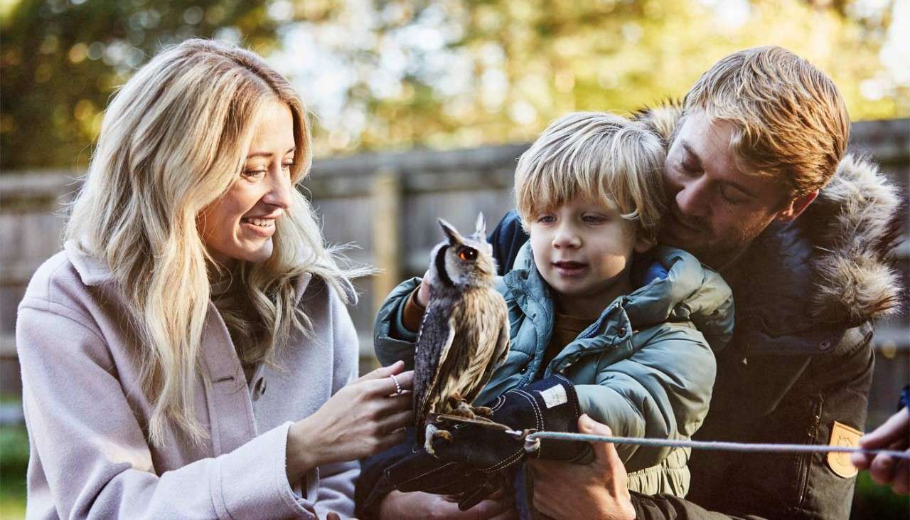 Boy holding a baby owl