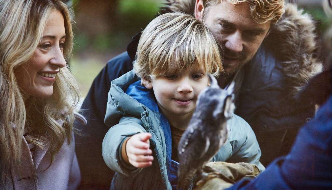 Child reaches toward a small bird perched on a handler’s gloved hand, while two adults watch nearby, wearing coats in a cool outdoor park setting.