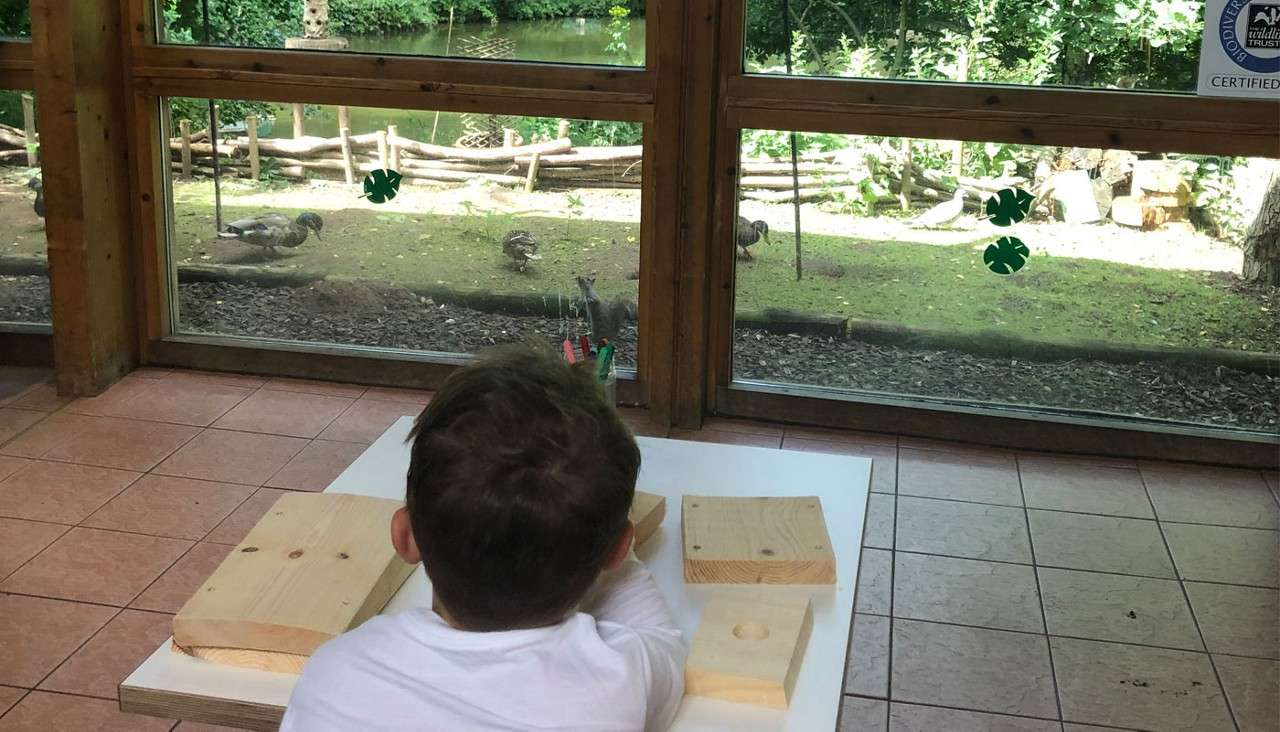 Child watches ducks through a large window, sitting at a low table with wooden blocks and pens; outside is a pond and greenery. Visible text: WILDLIFE TRUSTS, CERTIFIED.