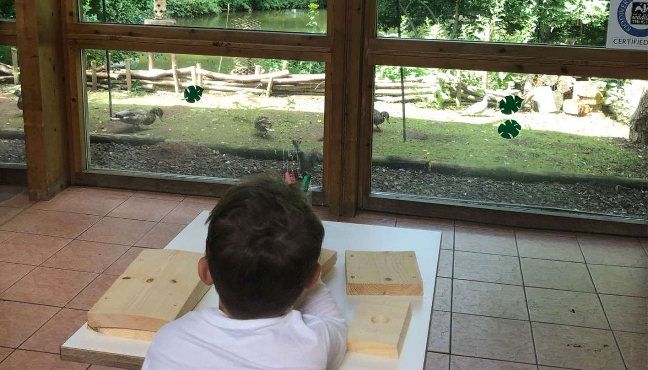 Boy building a nature box