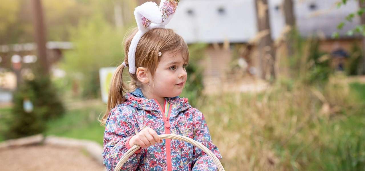 easter bunny hunt