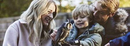 Beacon's Owl Experience