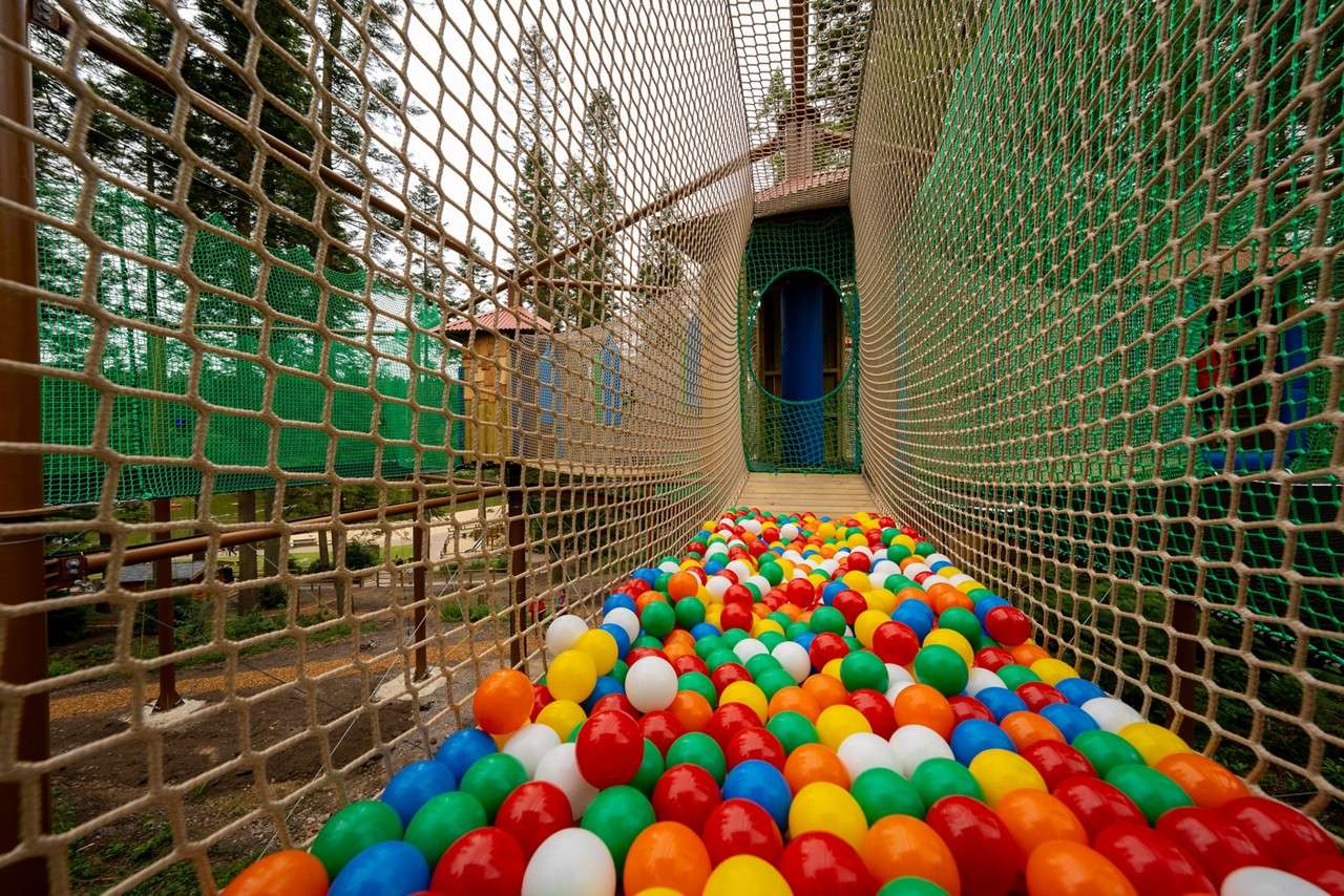 Adventure Nets course suspended in the trees.