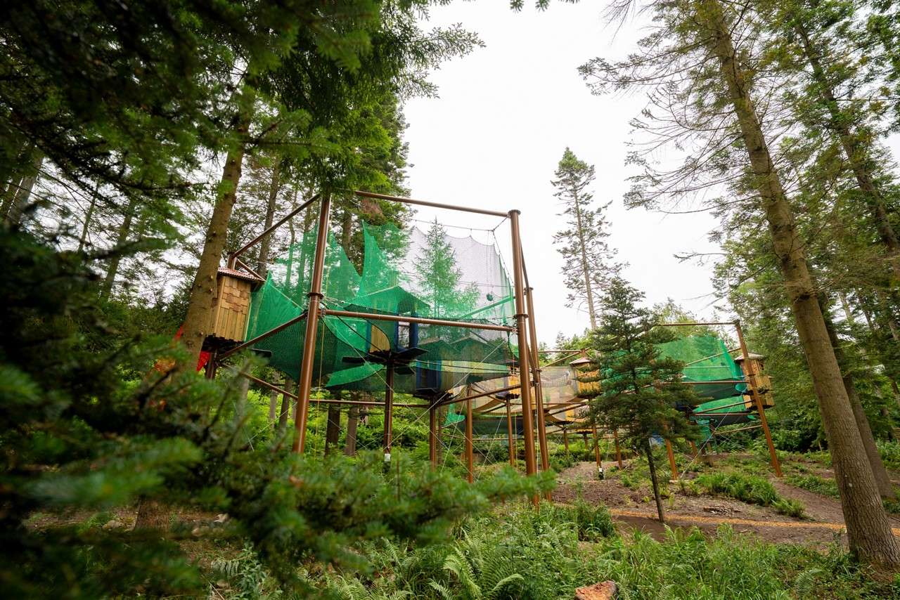 Elevated treetop playground with green mesh platforms and tunnels connects between tall metal poles, enabling overhead movement; set in a coniferous forest with dirt paths, ferns, and small wooden huts.