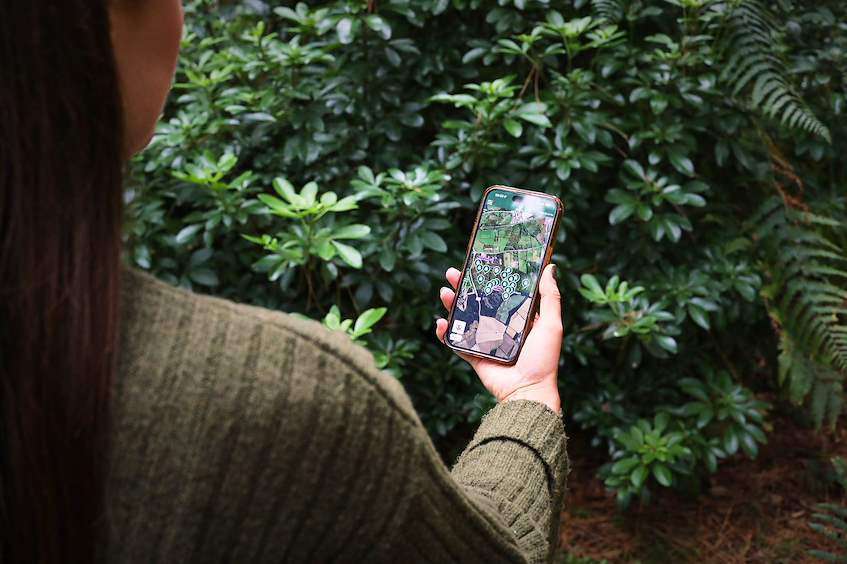 A lady with her back to the camera looking at her phone which shows a map of the forest