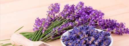 Lavender sprigs lie bundled, while loose blossoms fill a small white bowl; a wooden scoop rests nearby on a light wooden table.