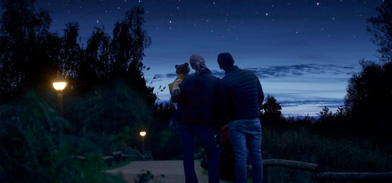 Family looking at the sky at night
