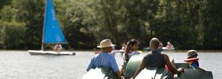 Pedal boats carry several people while a blue-sailed dinghy glides in the background, within a calm, tree-lined lake on a bright day.