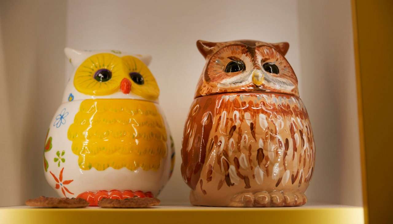 Two owl-shaped ceramic cookie jars sit side-by-side, one yellow floral and one brown mottled, on a lit shelf, with a couple of cookies placed in front.