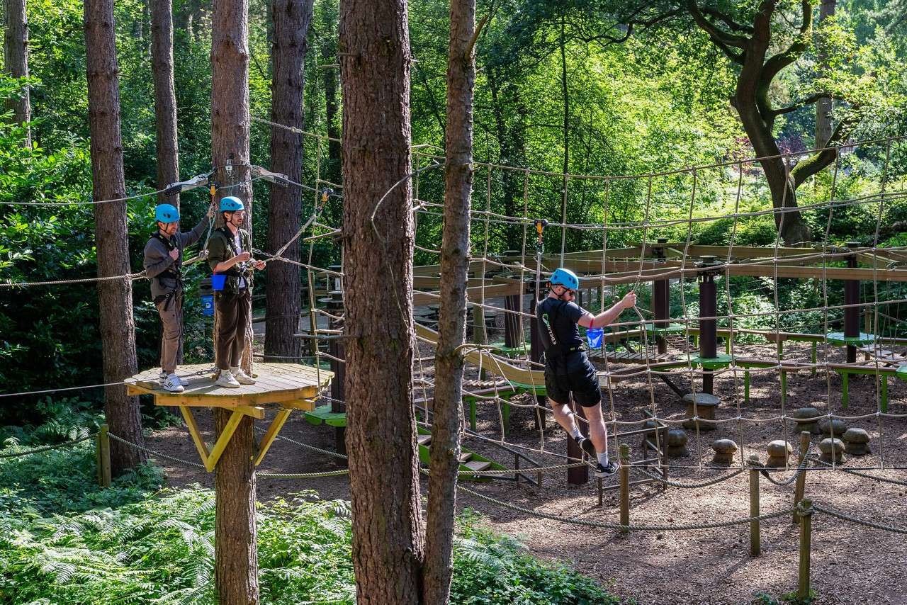 Climbing across the ropes on tree trekking