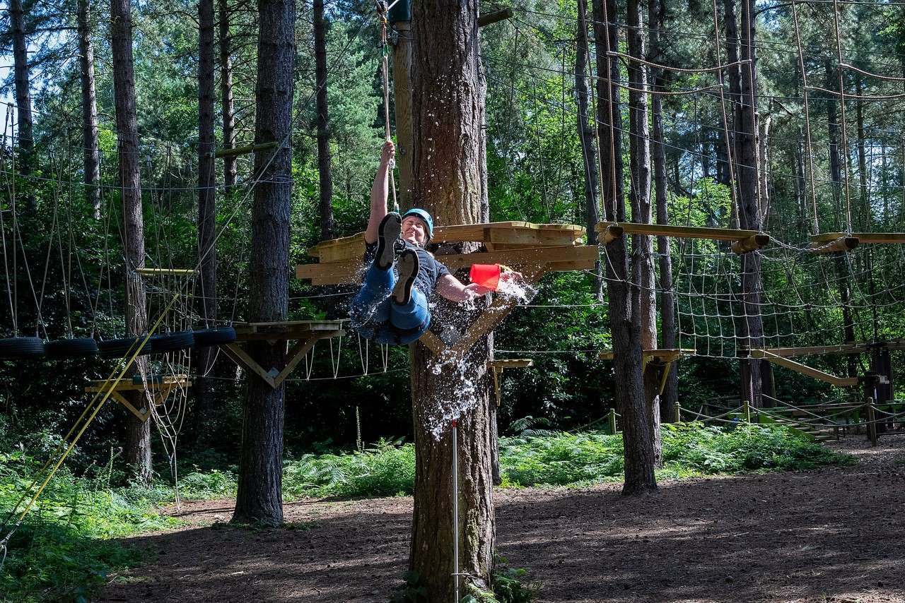 A boy climbing through the trees