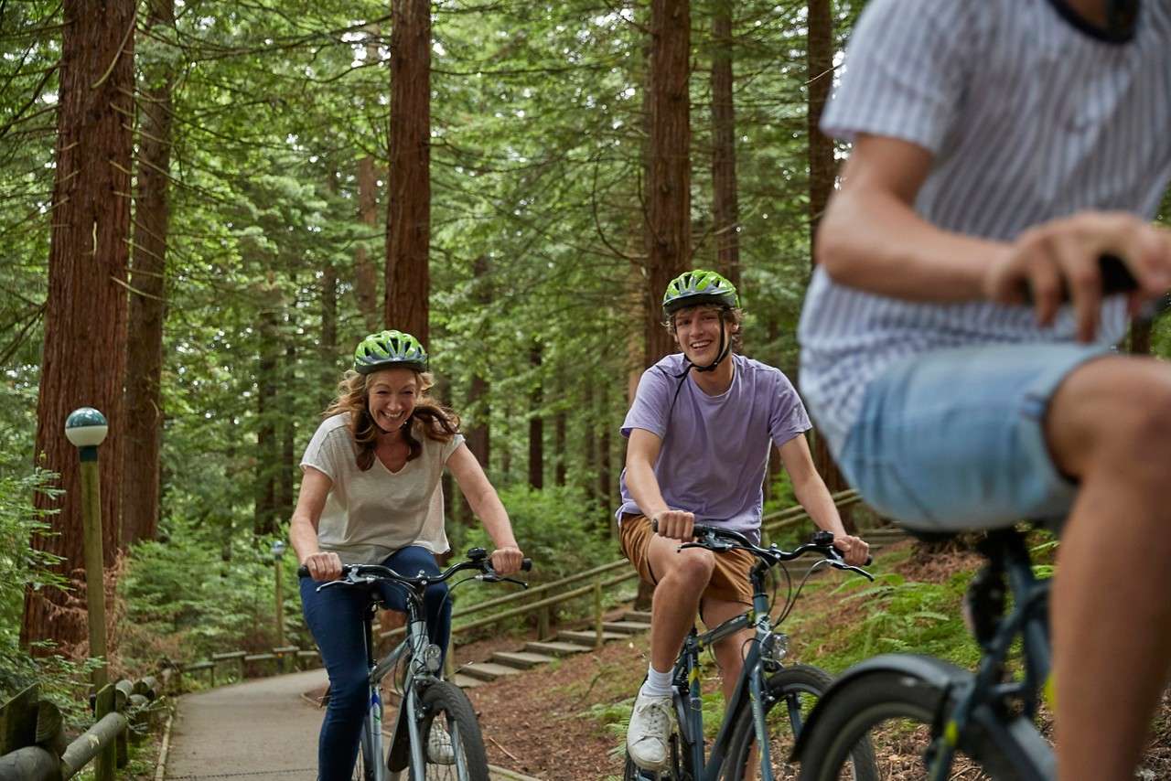 Family riding their bikes through the forest.