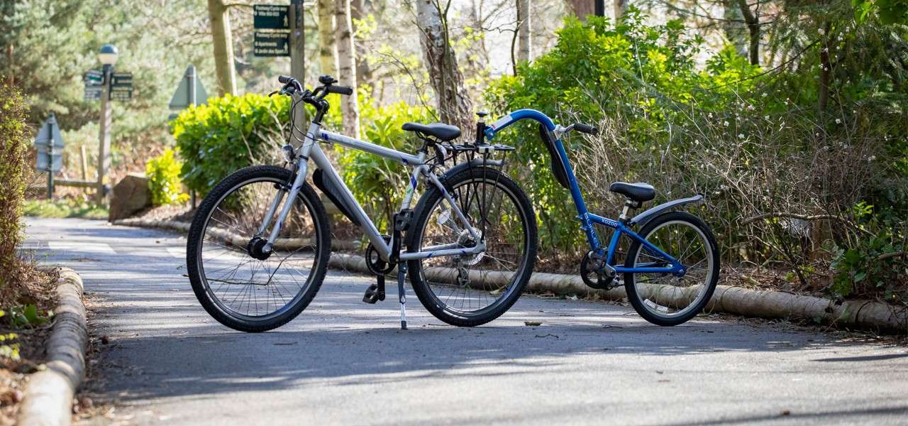 Tag along online bike for adults