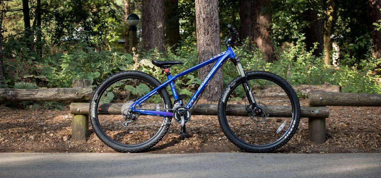 Blue mountain bike leans against a low wooden rail, standing still on a paved path; tall trees, ferns, and leaf litter surround it in a quiet forest clearing.