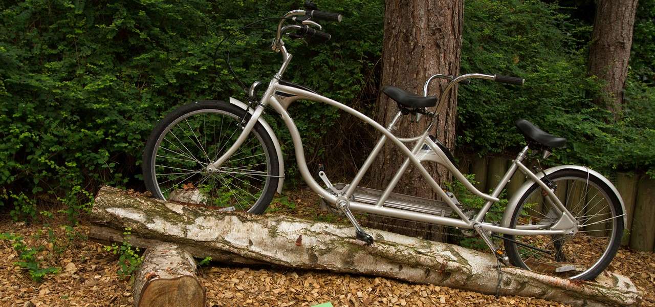 Silver tandem bicycle rests atop a fallen birch log, angled slightly uphill. Surrounding trees and dense green foliage create a forest setting with wood chips on the ground.