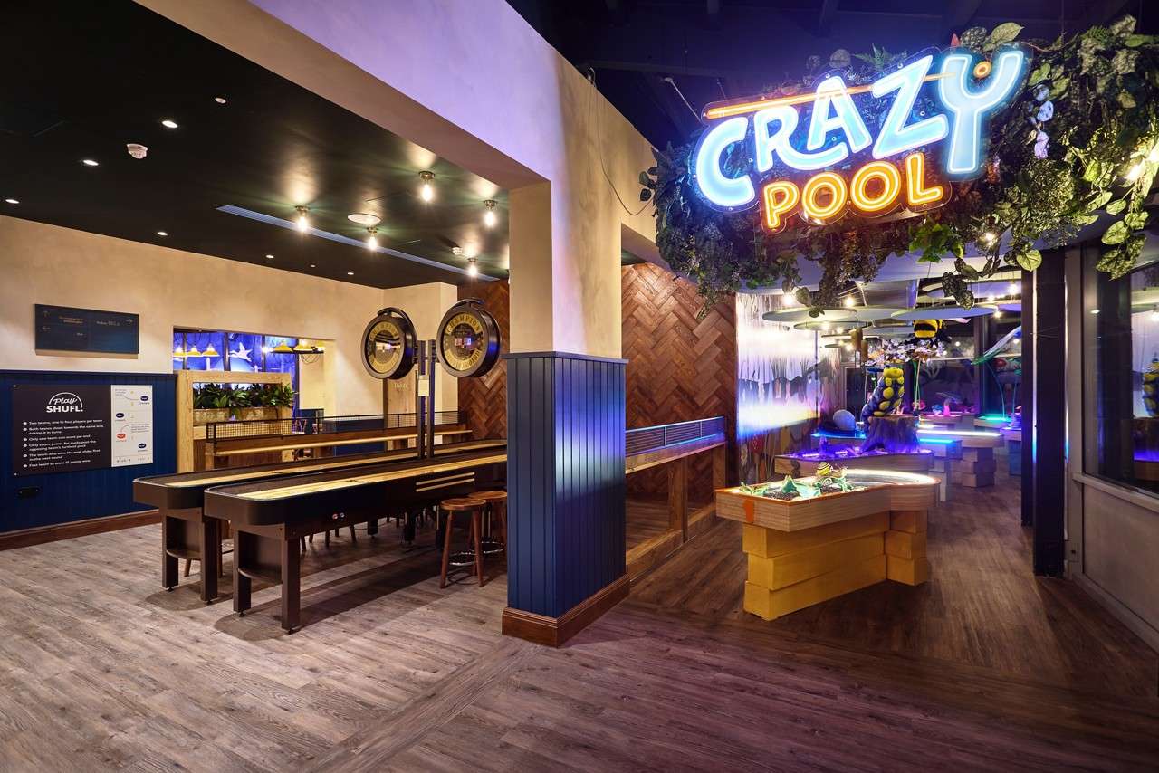 Woman playing a game of Crazy Pool.