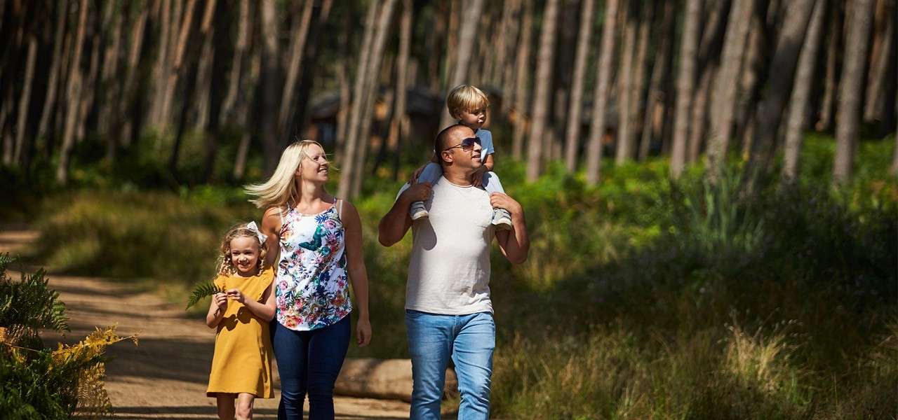 Family of four walks together; father carries toddler on shoulders, mother and daughter stroll beside them; on a sunlit dirt path through tall pine trees and greenery.
