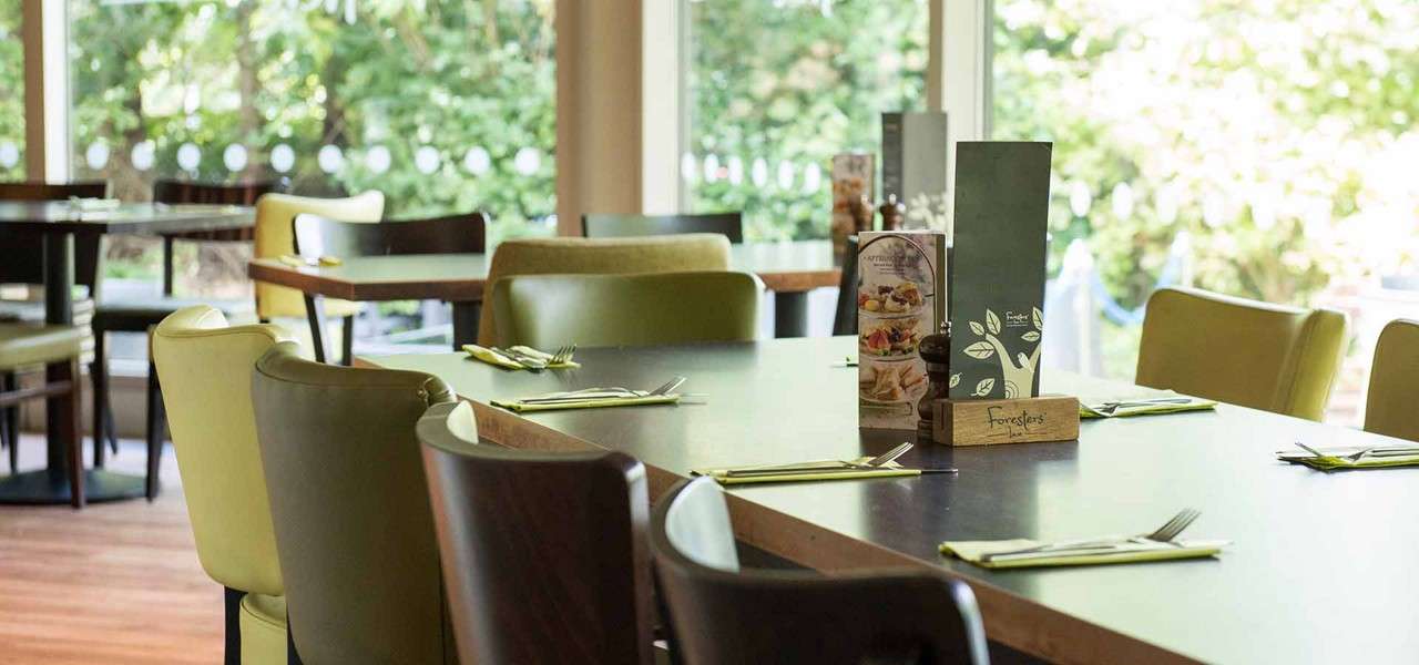 Place settings rest on a long wooden table, awaiting diners, in a bright restaurant with mixed green chairs and large windows overlooking leafy gardens. Text: Foresters.