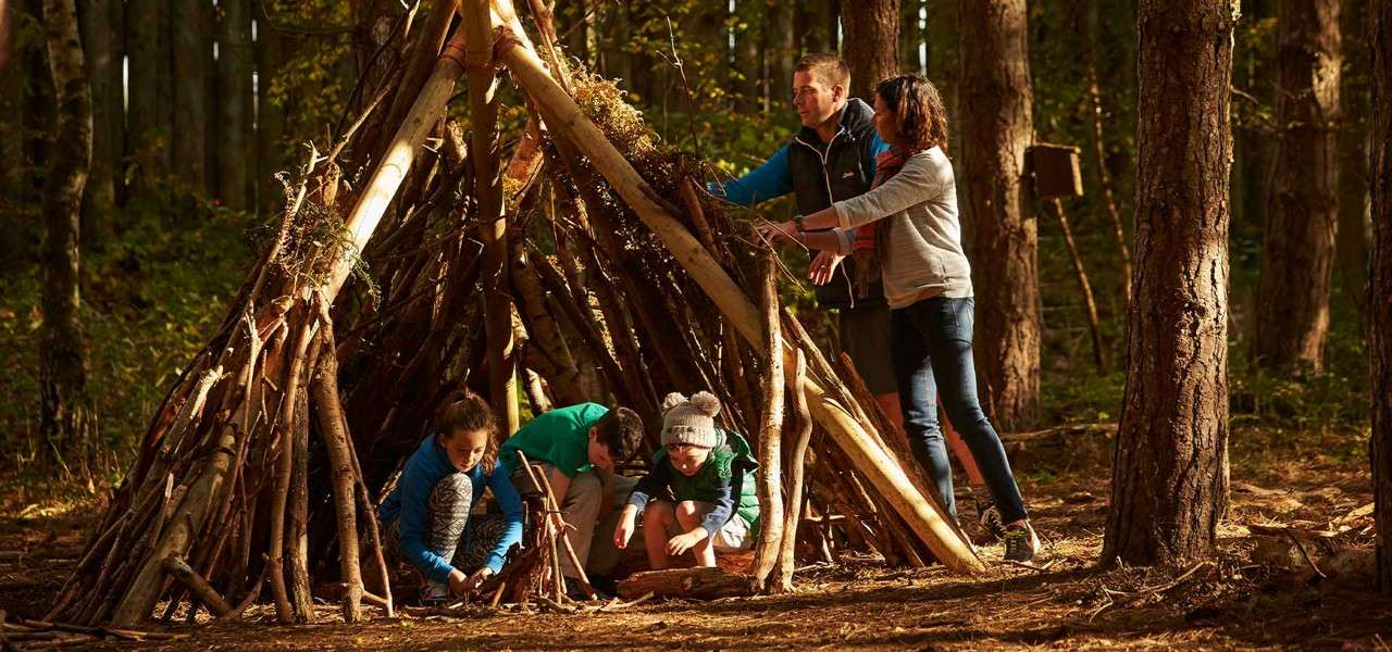 Family constructs a teepee-style shelter from long branches, crouching and arranging sticks, in a sunlit pine forest clearing.