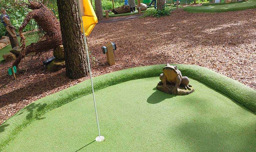 Mini-golf putting green features a flagstick and hole while a frog statue sits as an obstacle, surrounded by wood-chip paths, trees, and other course elements in a wooded park.