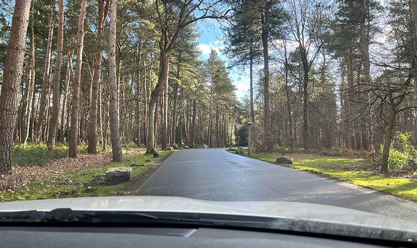 Car dashboard frames a narrow paved road stretching ahead through a sunlit forest; wet asphalt reflects light; tall pine trees line both sides; scattered rocks edge the roadway.