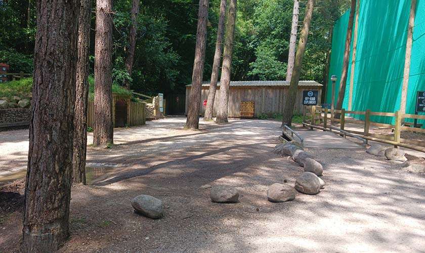 Gravel path winds past tall pine trees, bordered by rocks, leading to wooden sheds; signs on the right read “KEEP DOGS ON LEAD”; other distant sign text is unreadable.