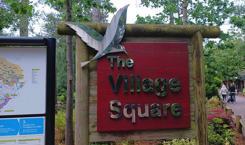 Wooden park sign displays chrome letters and a bird emblem, marking an entrance beside a map board on a wooded path with visitors. Text: “The Village Square.” On the map board: “3. DO NOT PUT YOURSELF AT RISK.”