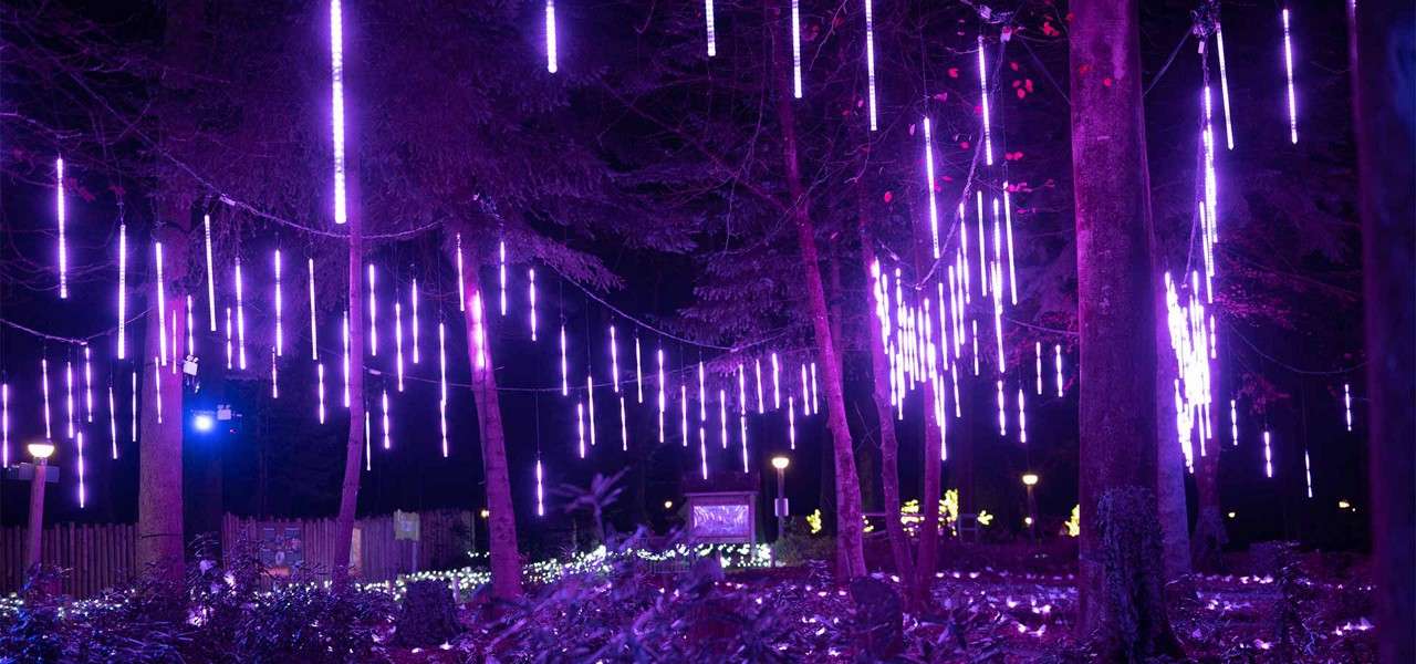 Purple LED light tubes hang and glow, resembling icicles. Suspended from tree branches at night, they illuminate a wooded park with additional ground lights and scattered lampposts.