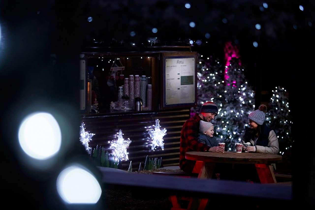 Wooden cabin surrounded by Christmas lights.