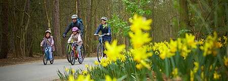 A family cycling through the Forest.