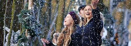 Two people smile and reach upward, catching falling snow, surrounded by snow-dusted evergreens in a winter forest.