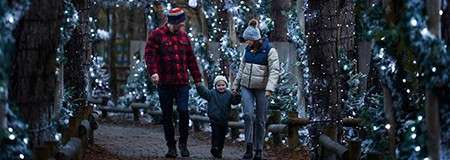 Family trio walks hand-in-hand, child mid-step between them, along a narrow path. Twinkling white holiday lights wrap arching vines and trees, wooden rails edging the walkway in a dim forest.