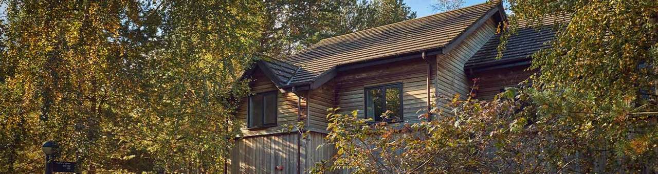 The view of the top of a lodge in the treetops.