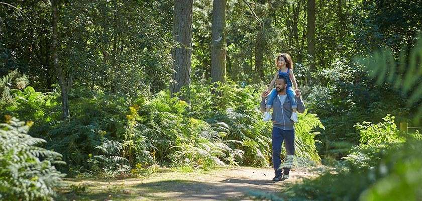 A father walking through the forest with his daughter on his shoulders