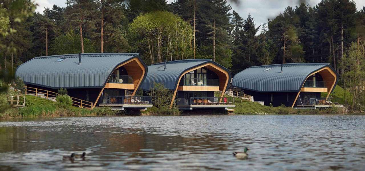 Three modern, curved-roof cabins overlook a calm lake, their glass-fronted balconies facing the water while ducks swim in the foreground; pine trees and greenery form a dense forest backdrop.